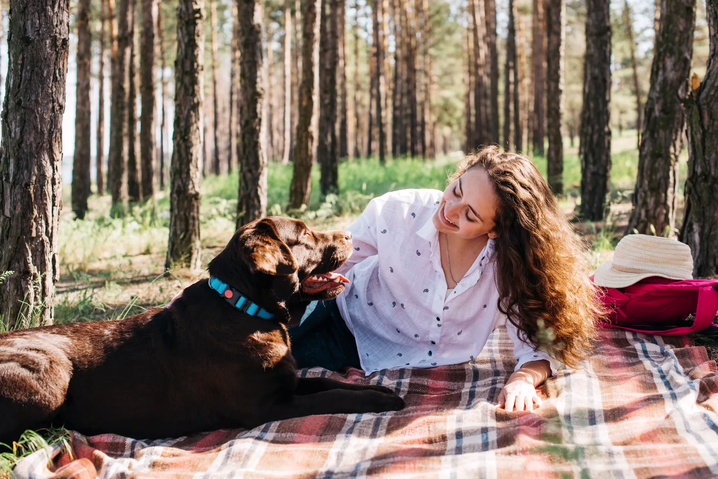 Pet Policies Images